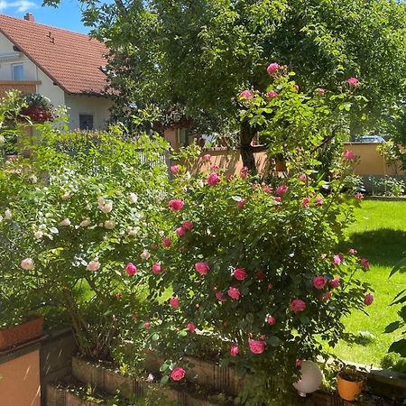 Ferienwohnung Am Eck Rust Bagian luar foto