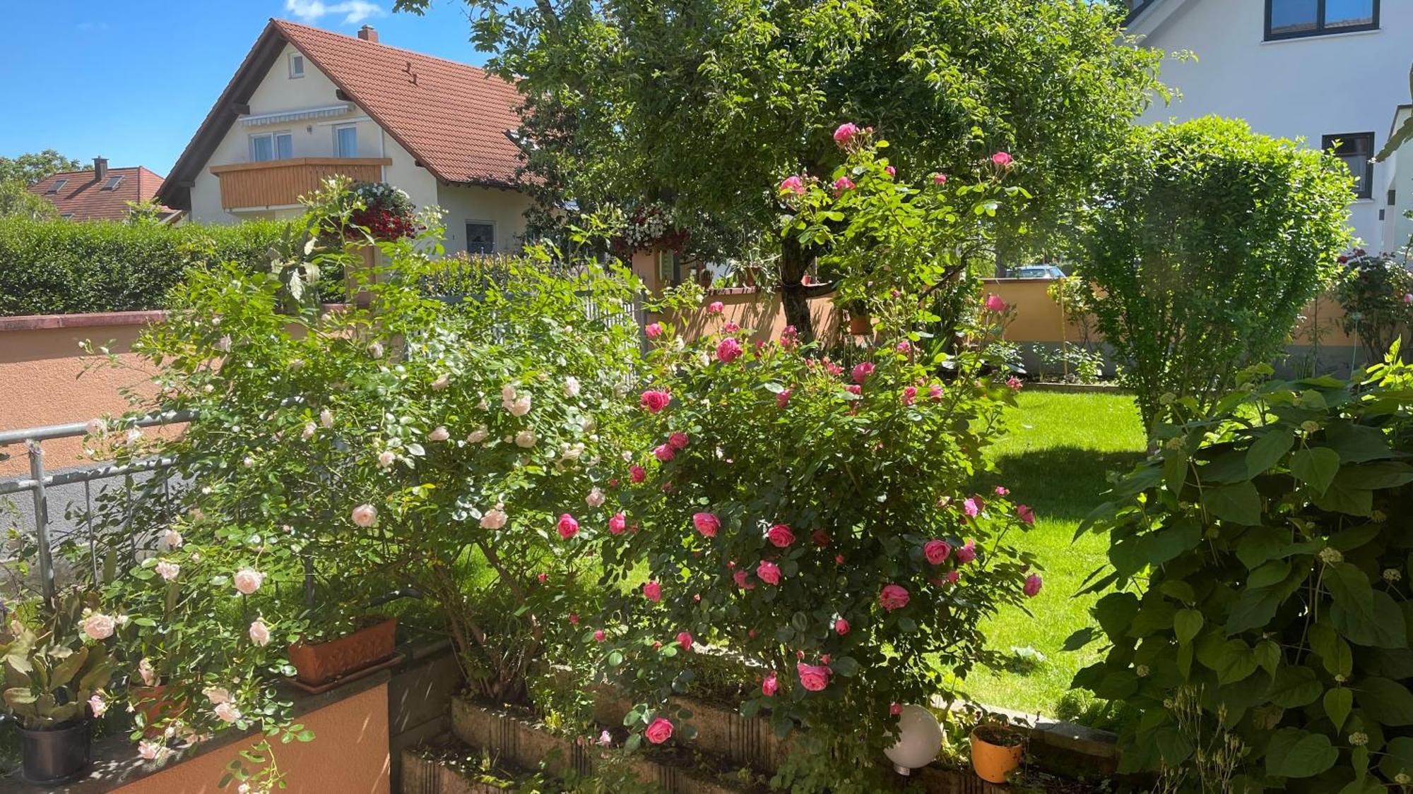 Ferienwohnung Am Eck Rust Bagian luar foto